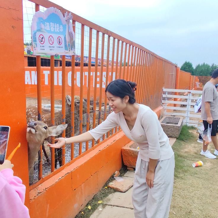 如你所愿