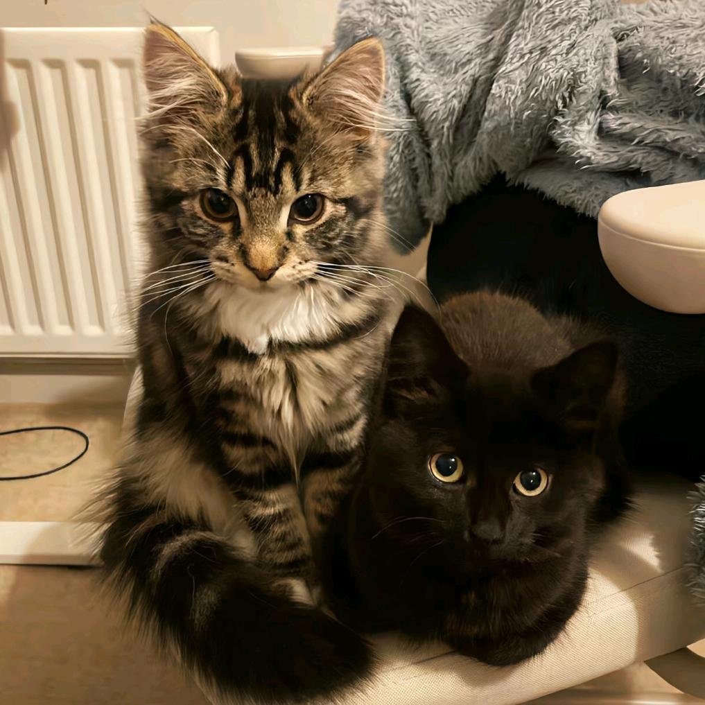 源源૮₍♡>𖥦< ₎ა