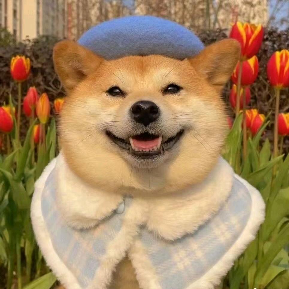 大名鼎鼎