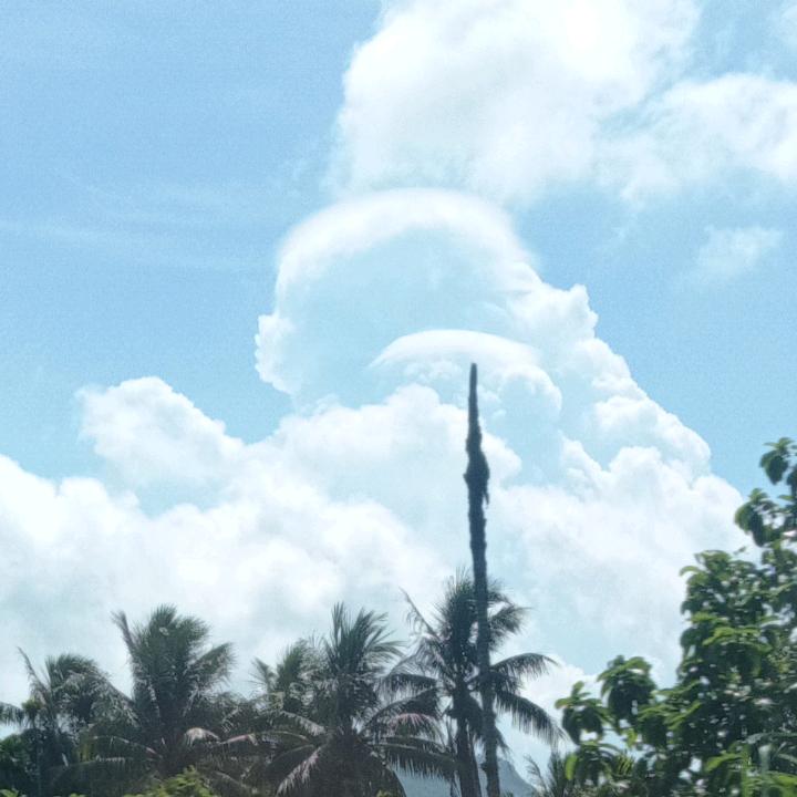 雨禹