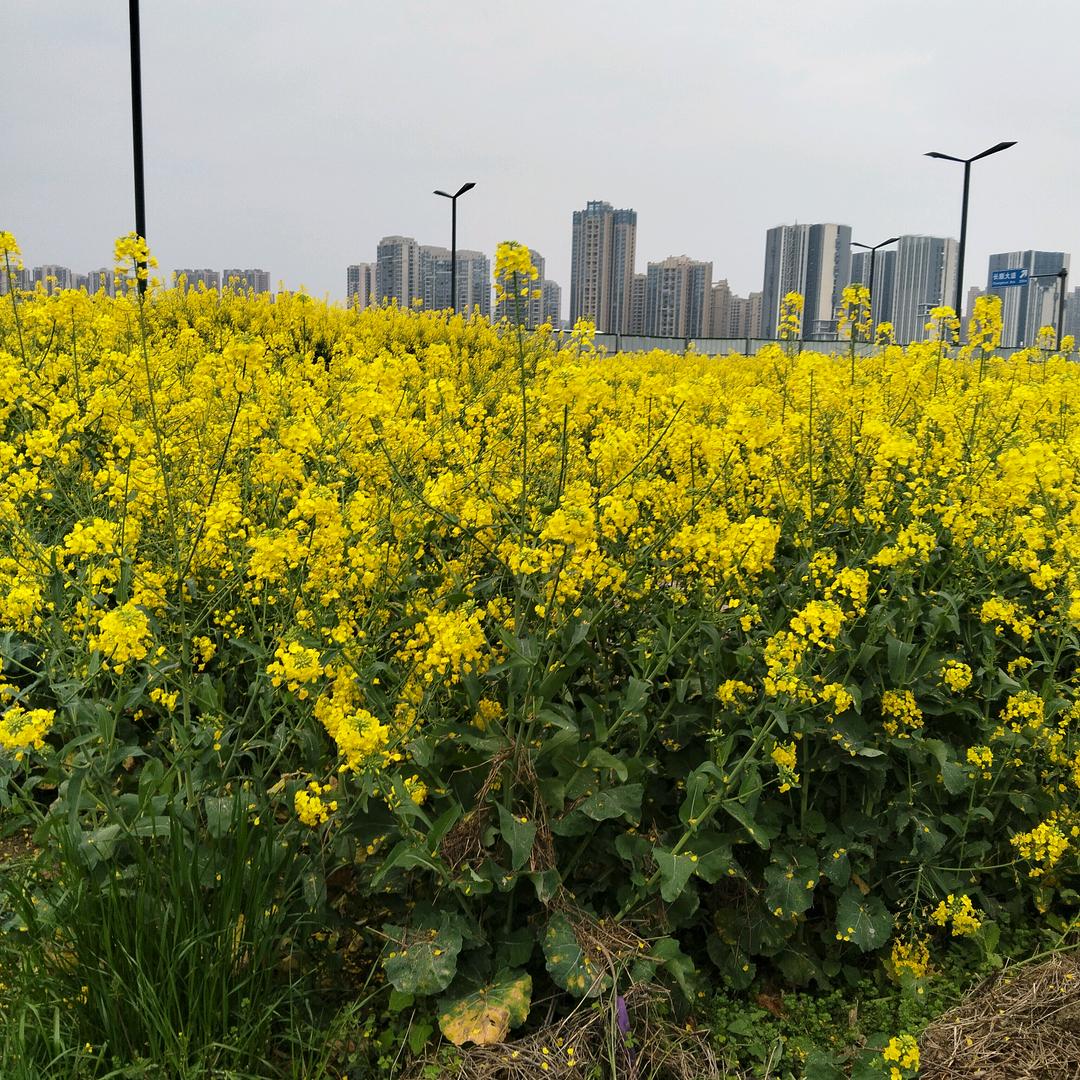 幸福开心快乐每一天