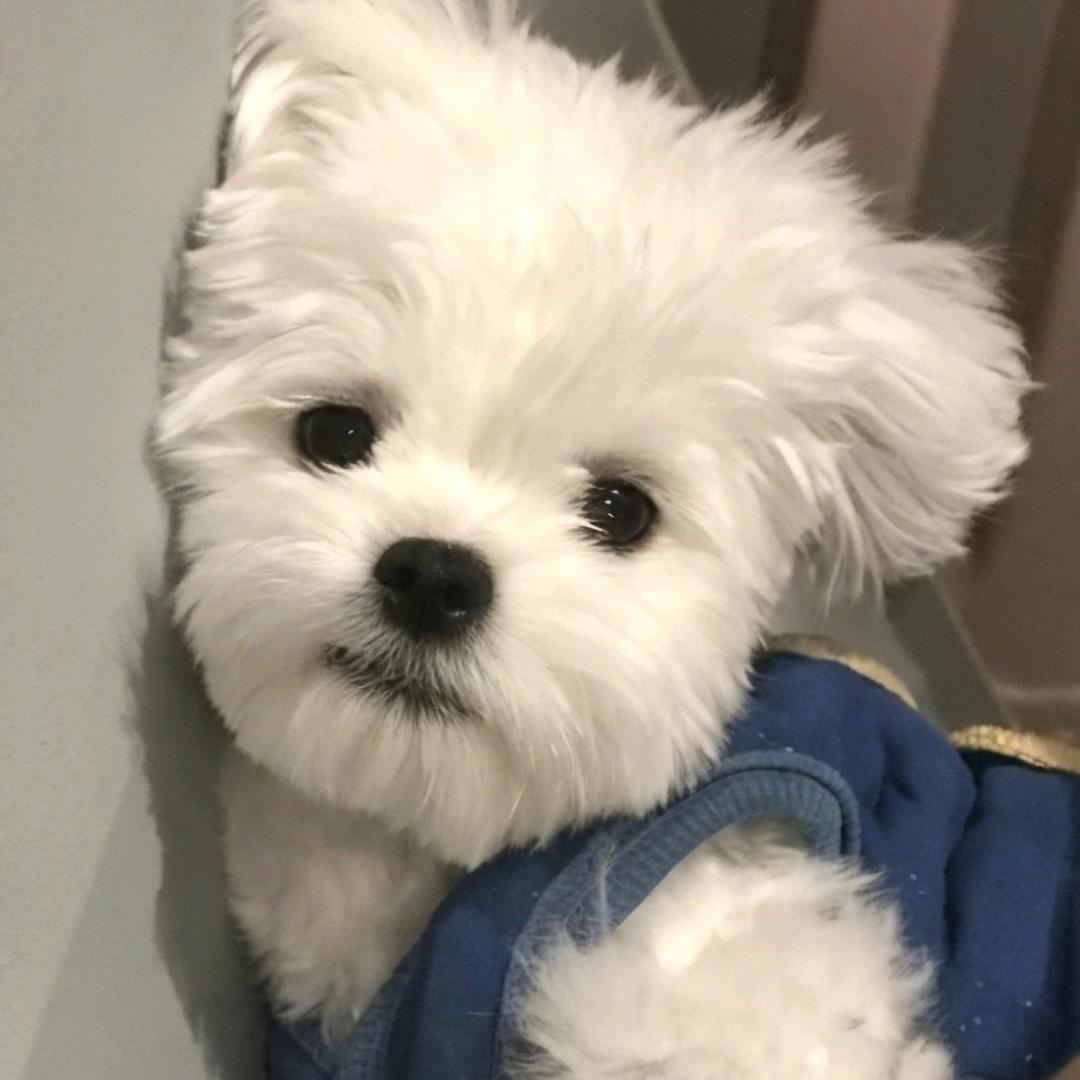 江江