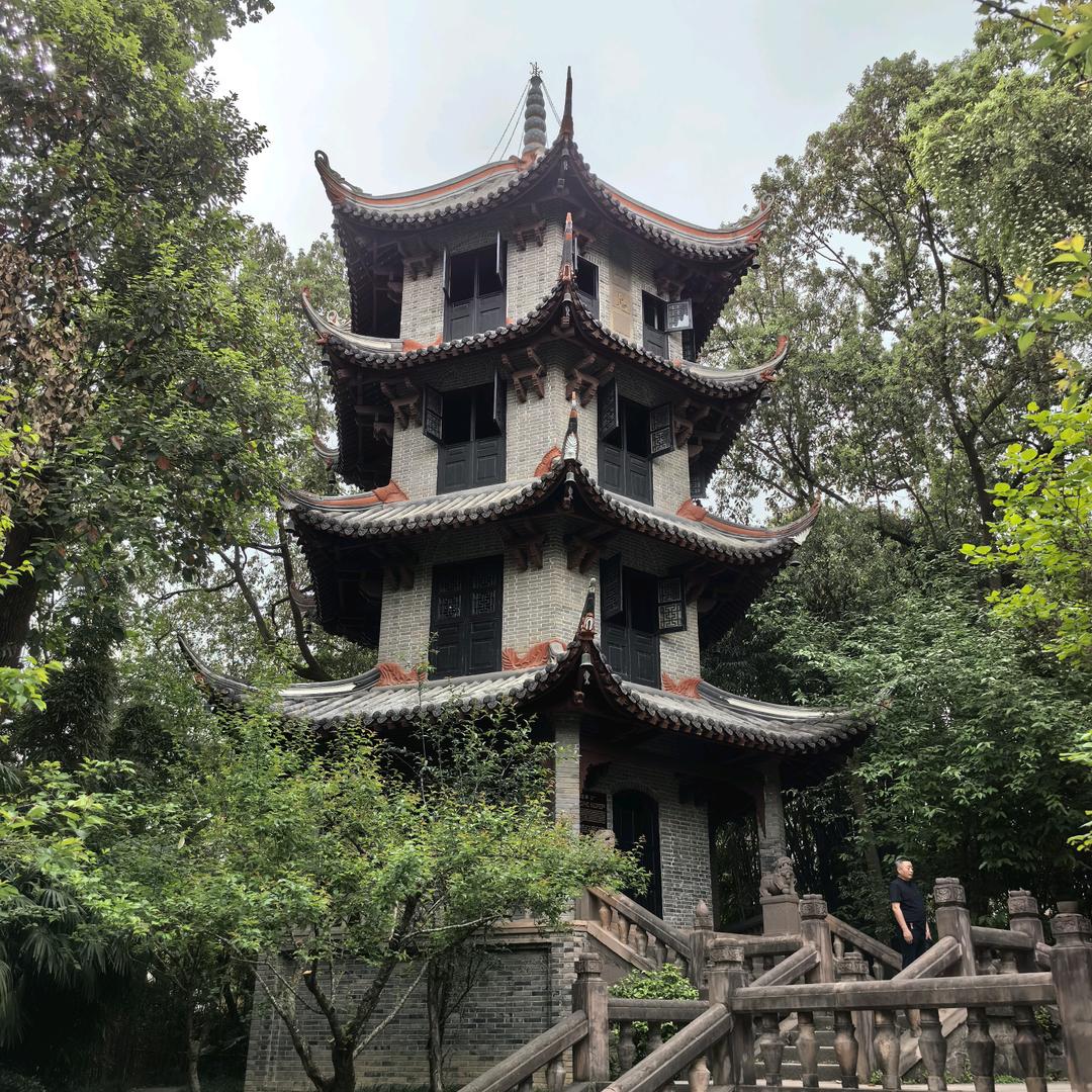 食来运转