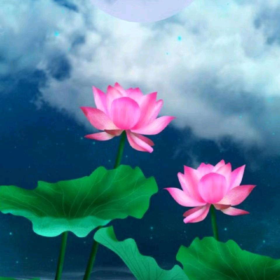 不忘初心  ❤️