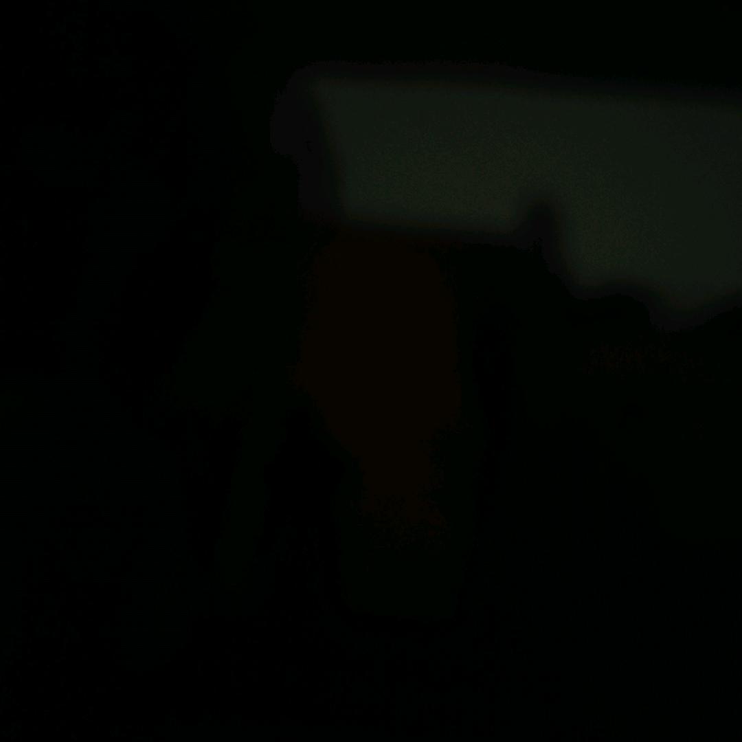 飞飞