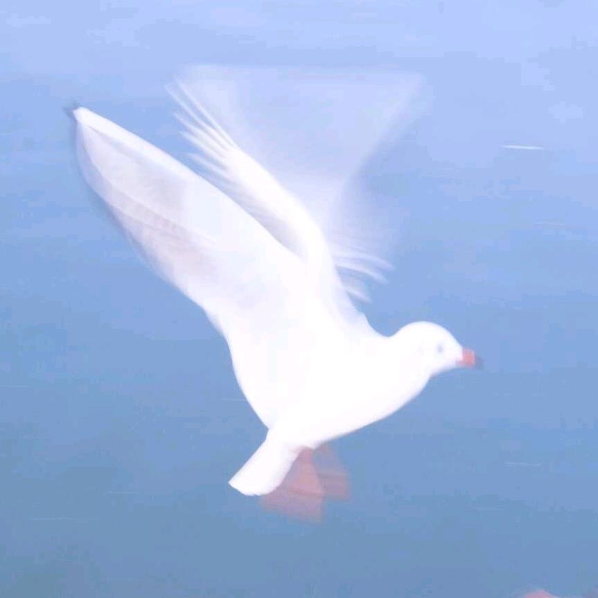 英俊药掌柜