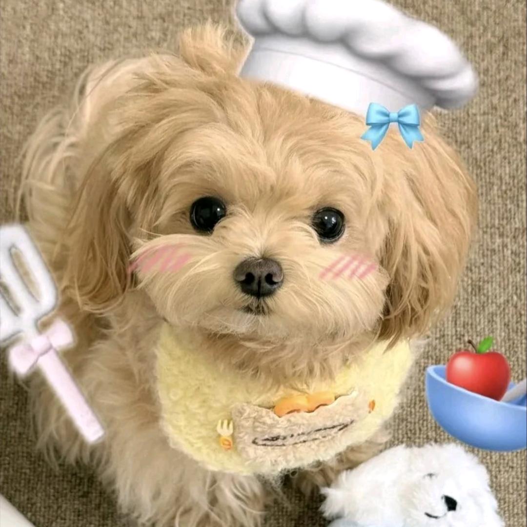 小小只