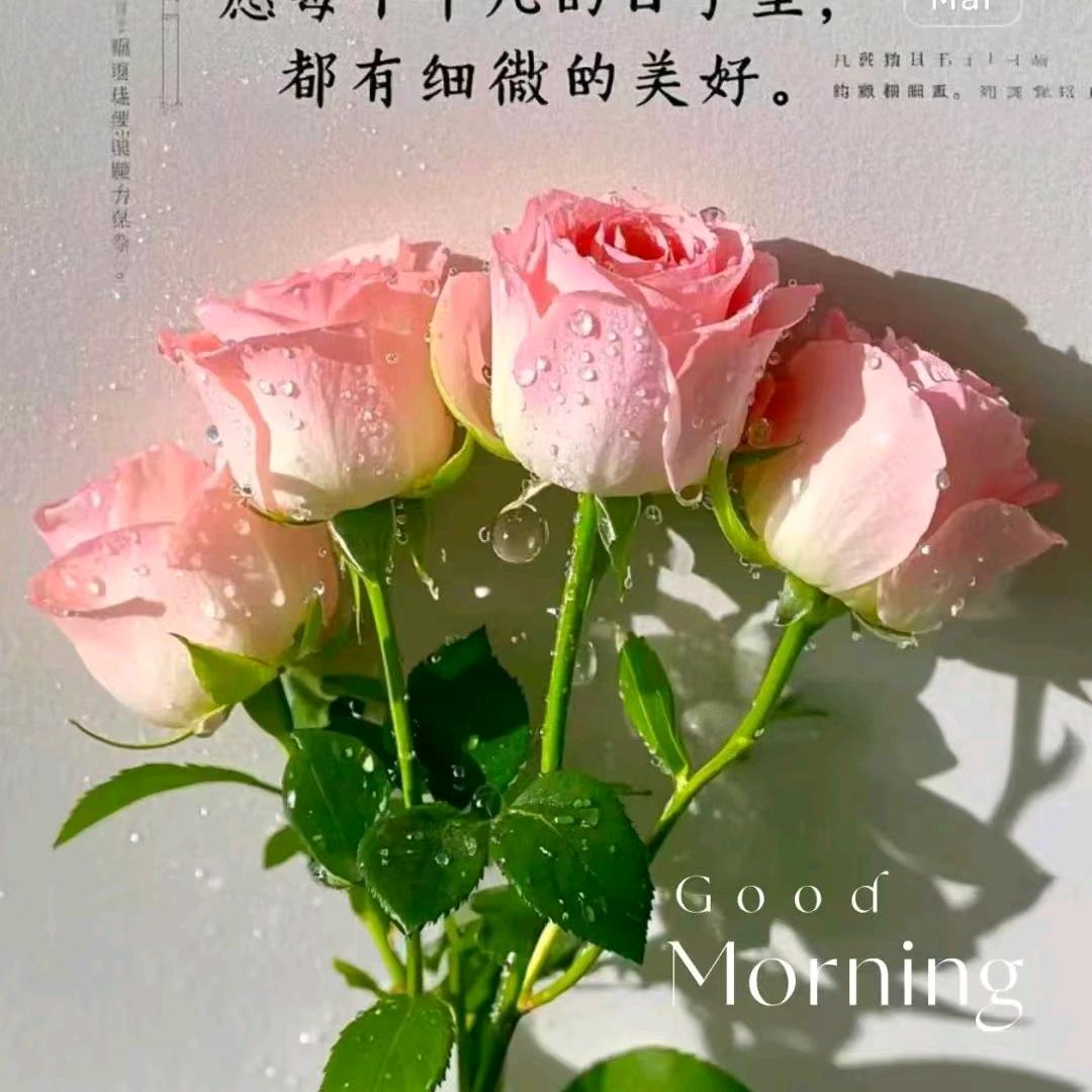 爆品分享