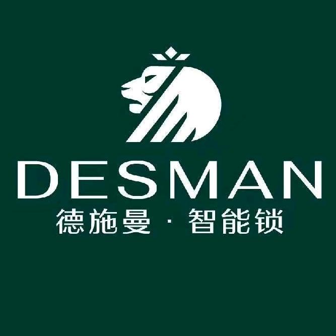德施曼智能锁光彩店