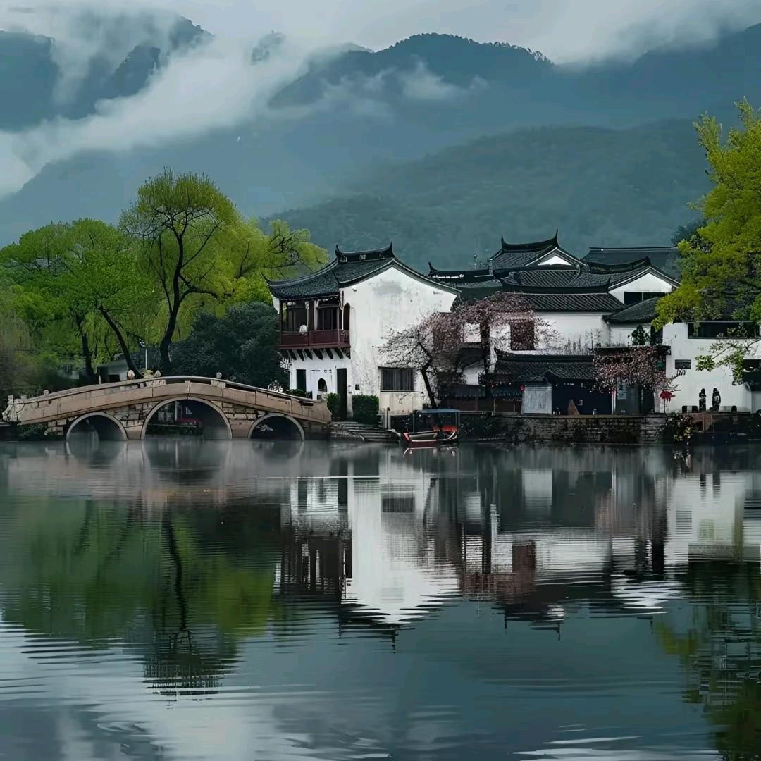 两朵金fa
