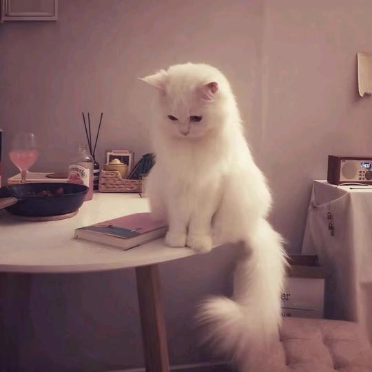 我是愤怒