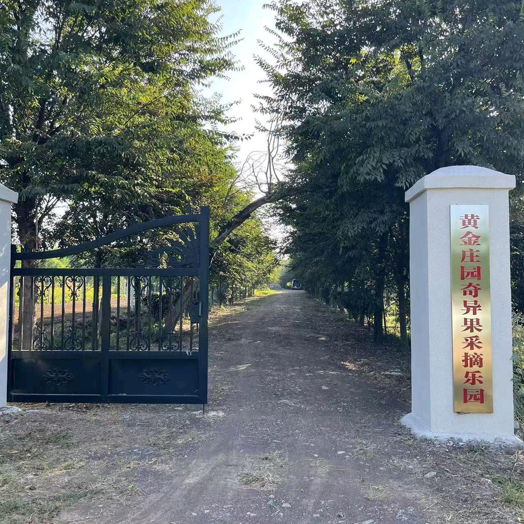绿枫园林黄金庄园基地