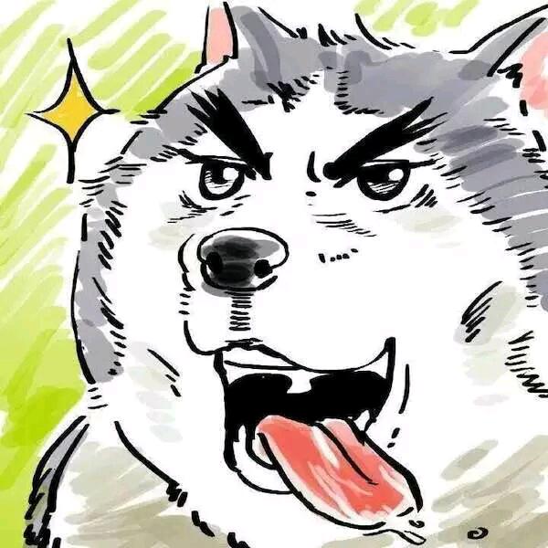 清飞二手车小杨