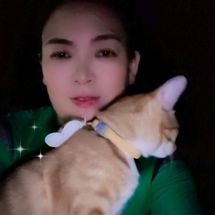 《龙姐》