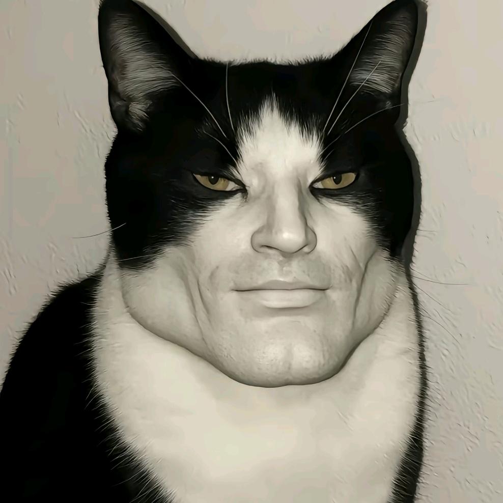 不爱说话的丘丘