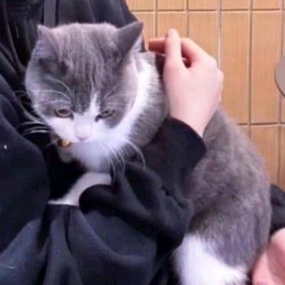 十年的同桌