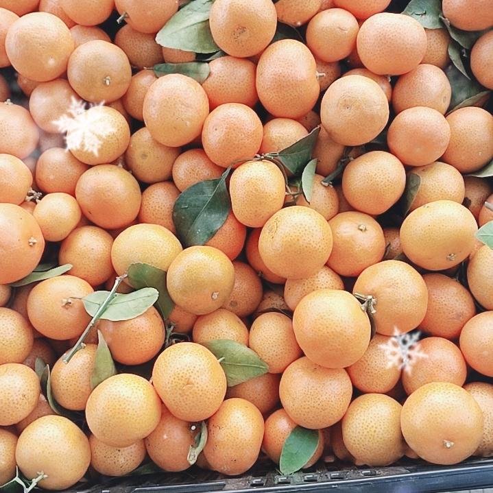 小陈🍏乐园