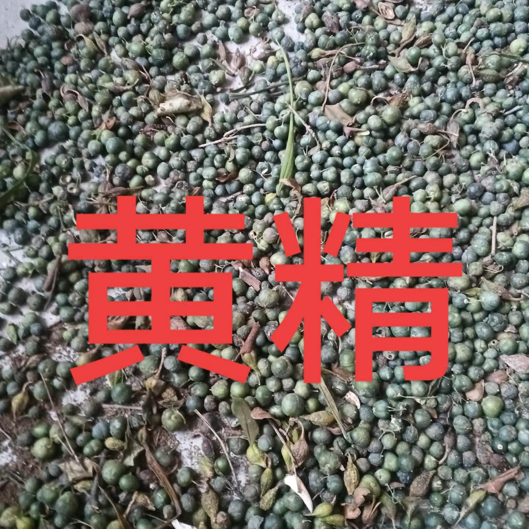 休闲农业与乡村振兴药💊材种植户
