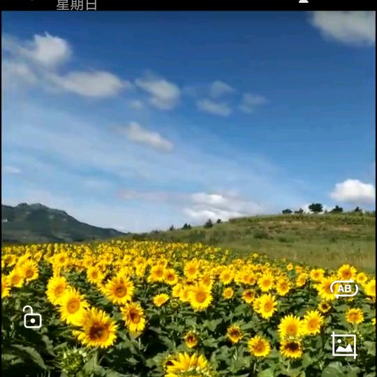 岁月如歌