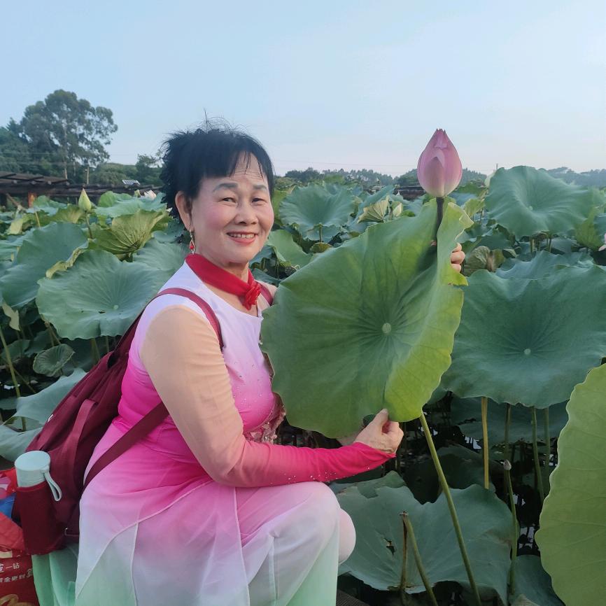 暧阳