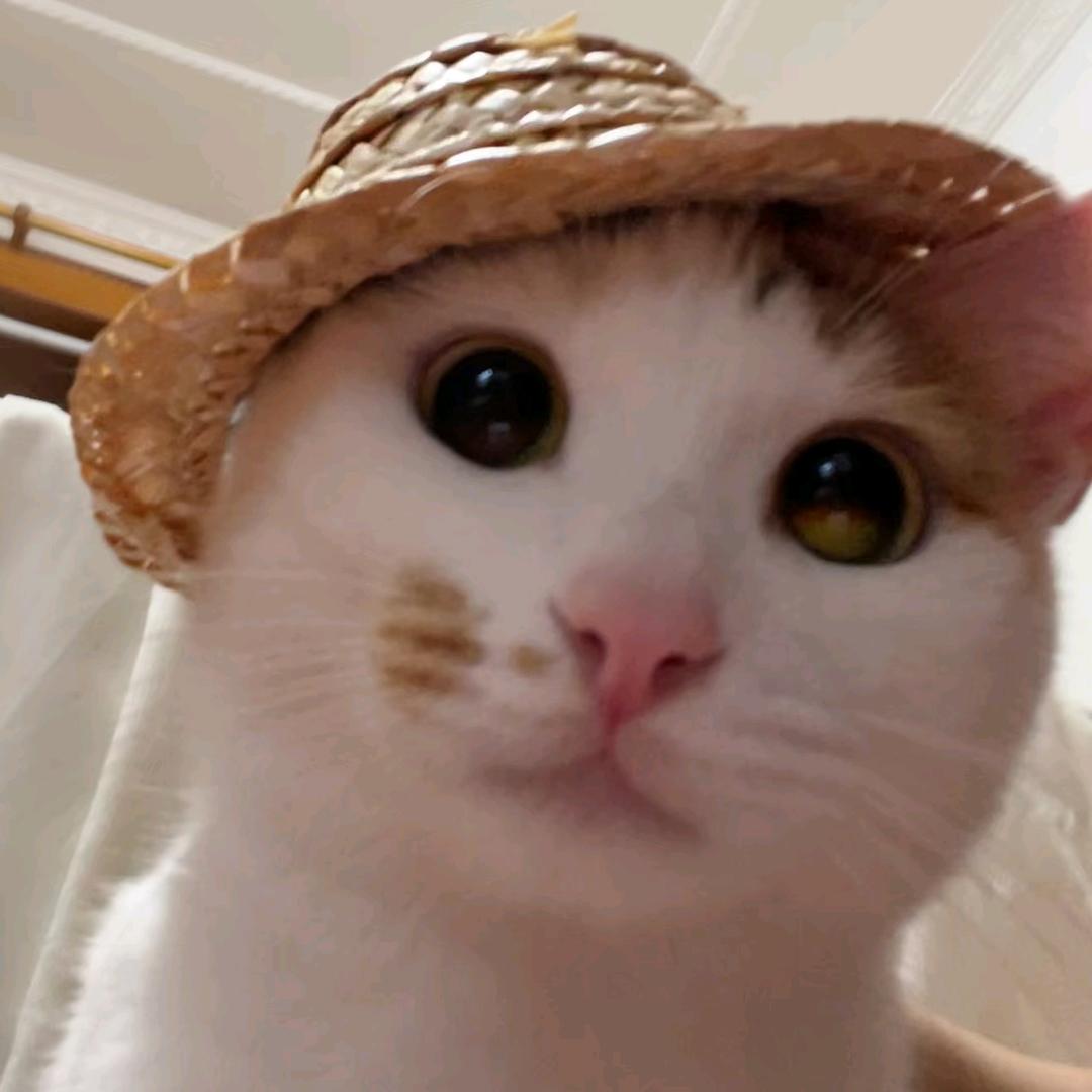 老农咪🍭⁶¹