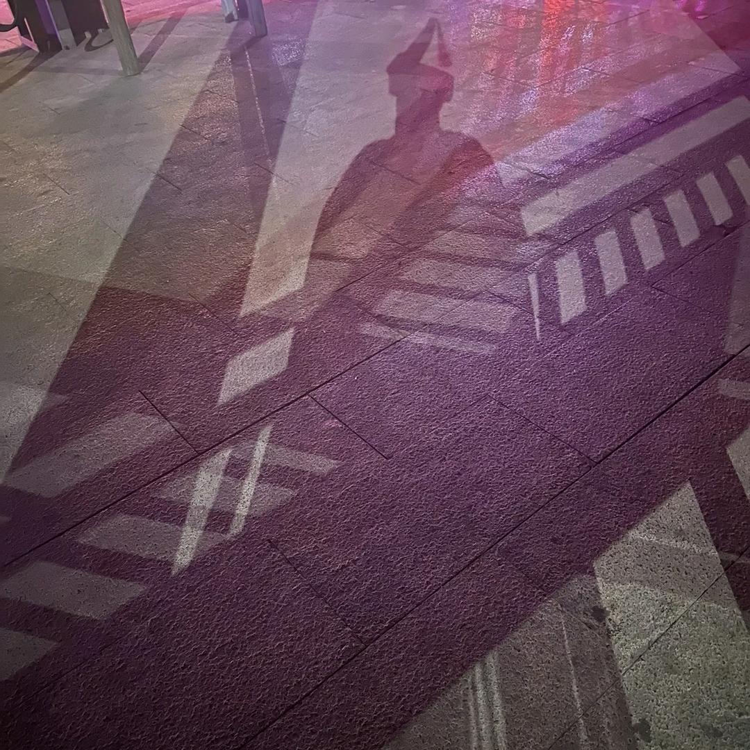 枯木   逢春