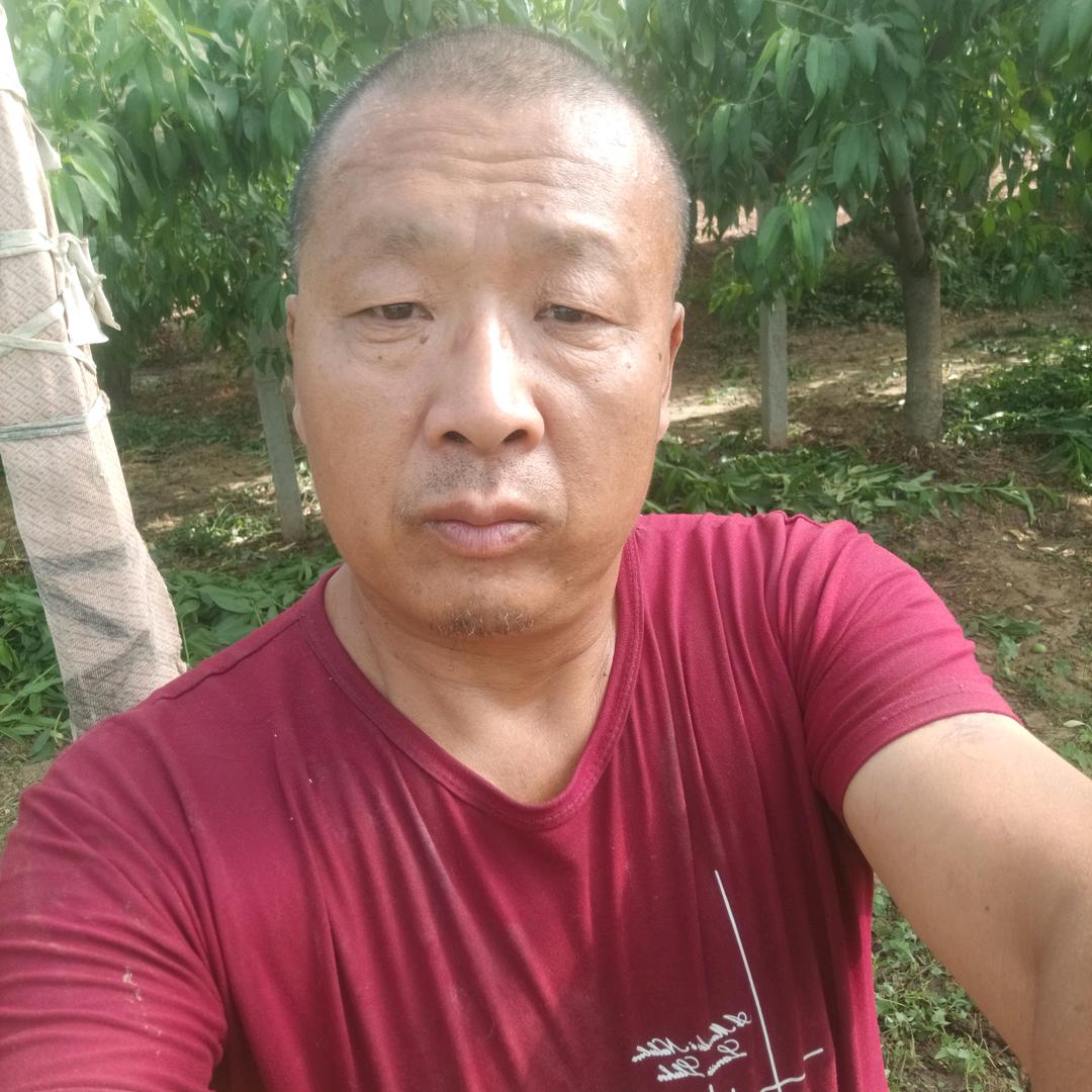 听哥给你说