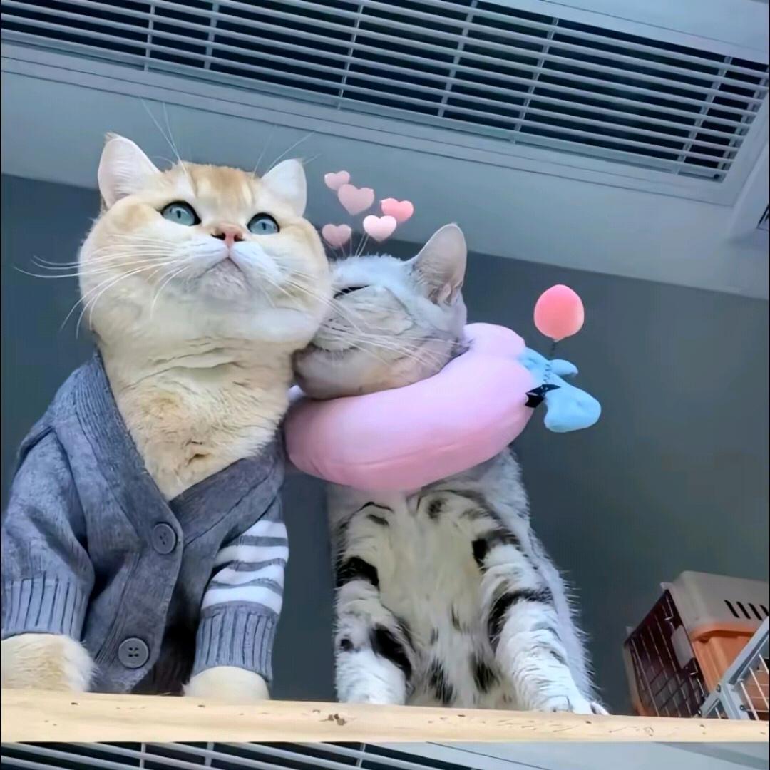 এ᭄ꦿ꯭风生水起ꫛএ᭄💕