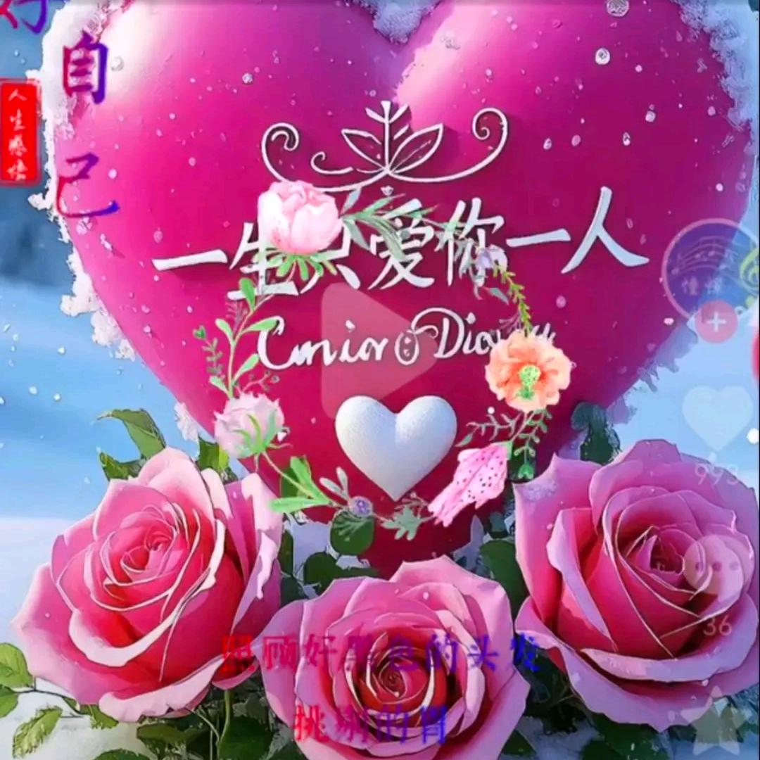 贵州小阿平