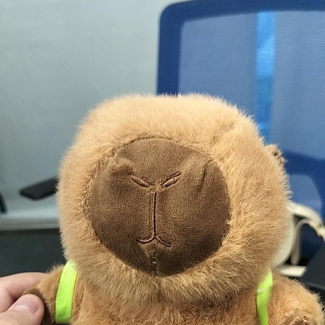辞许