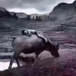 受苦受累的打工人