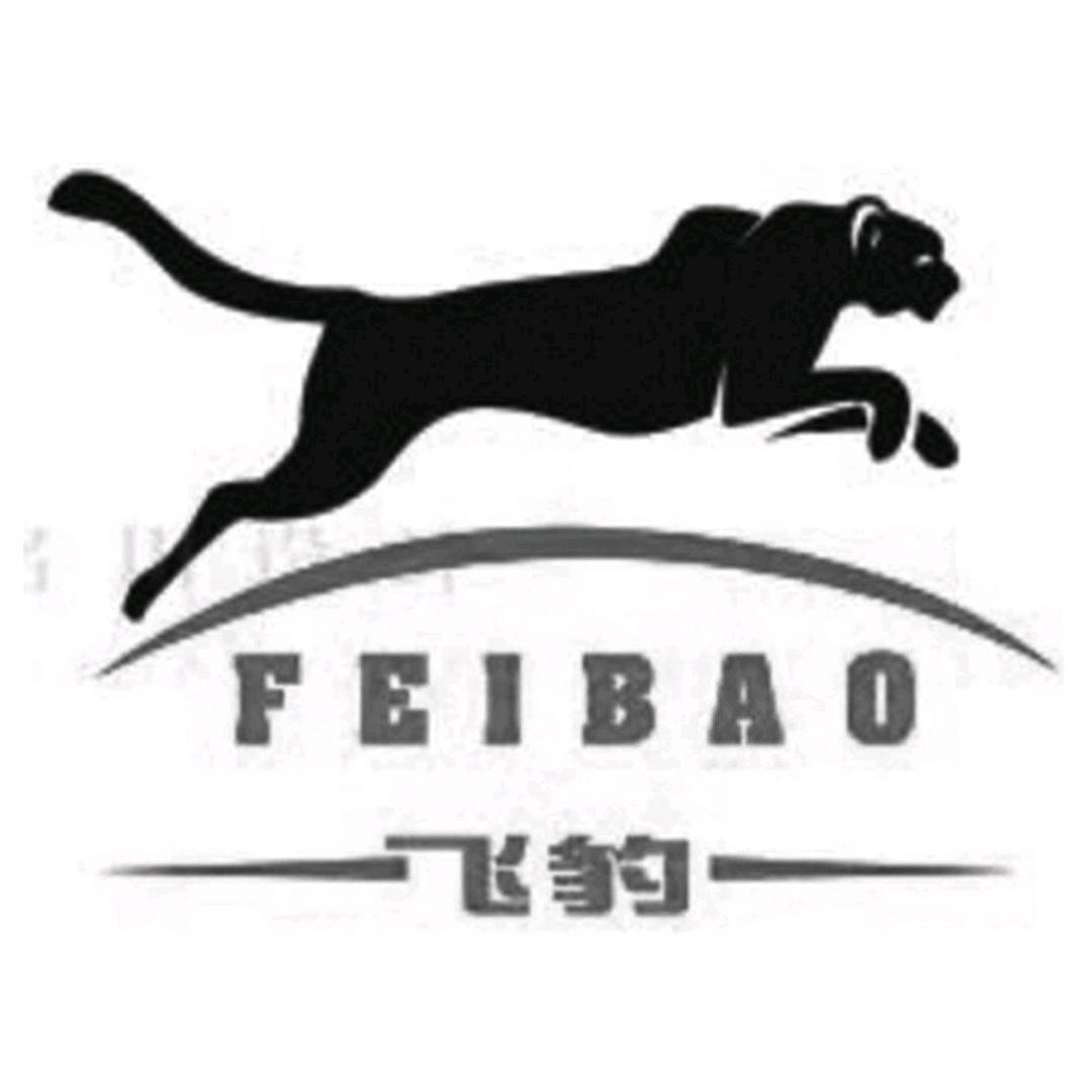 510416飞豹 【818】