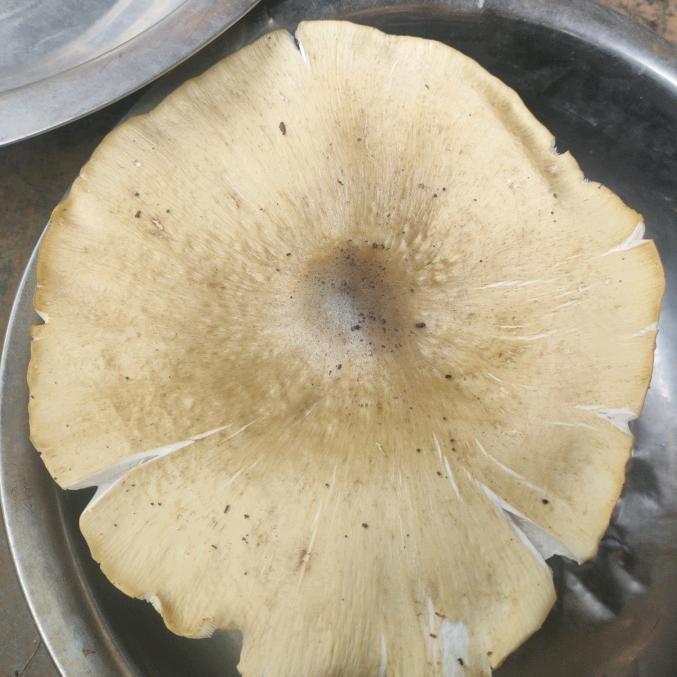 随风而去