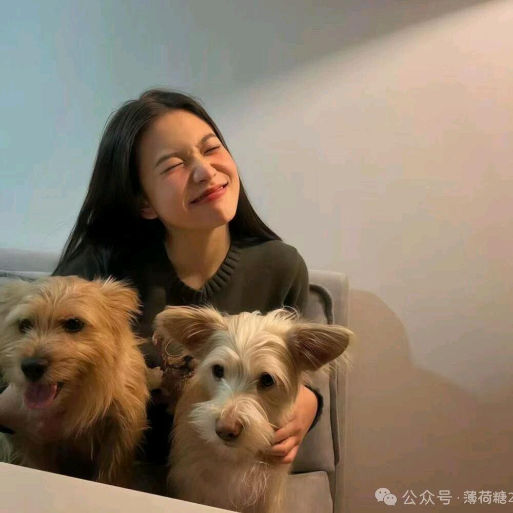 李y芹
