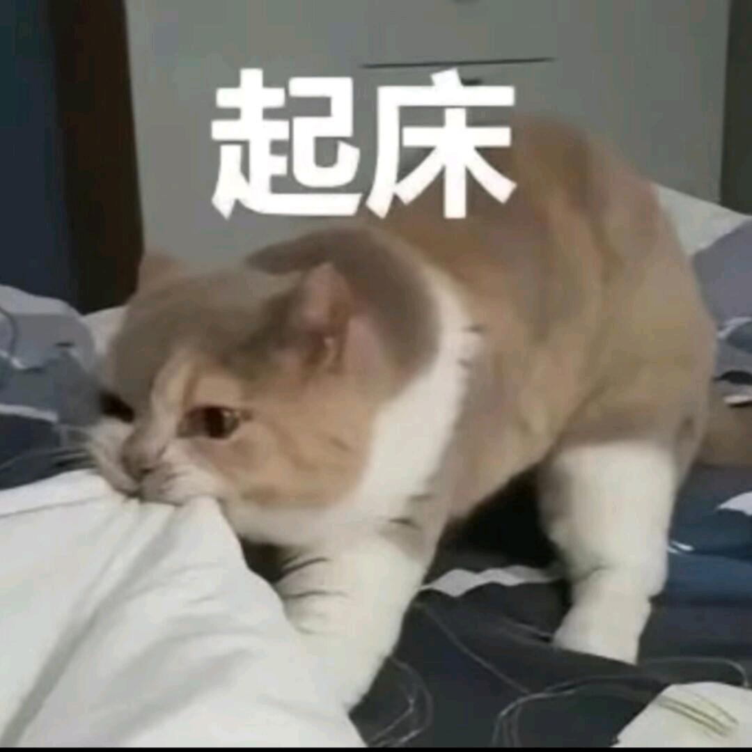 小玖
