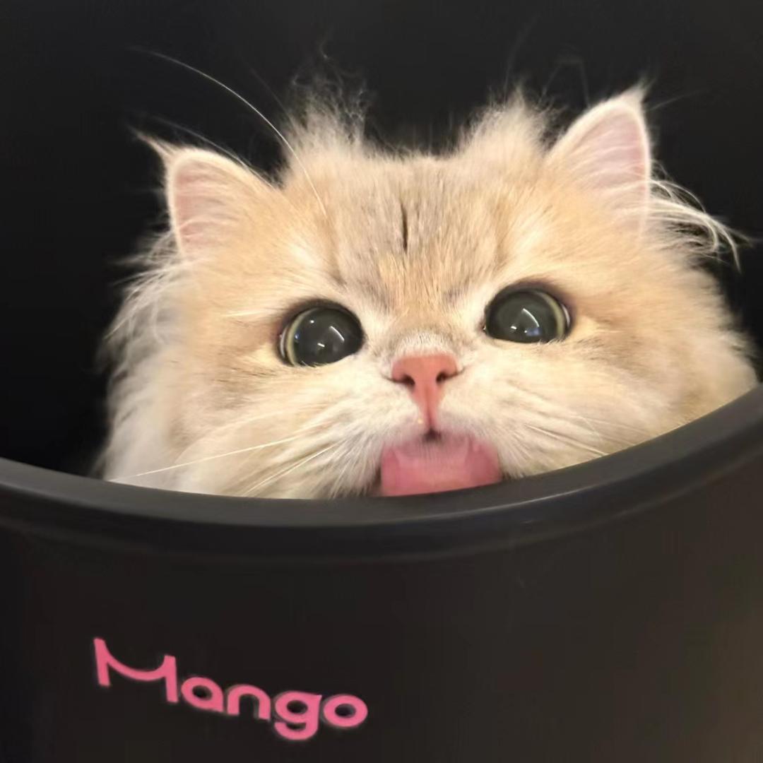 南星水晶定制/疗愈2⃣️🔮