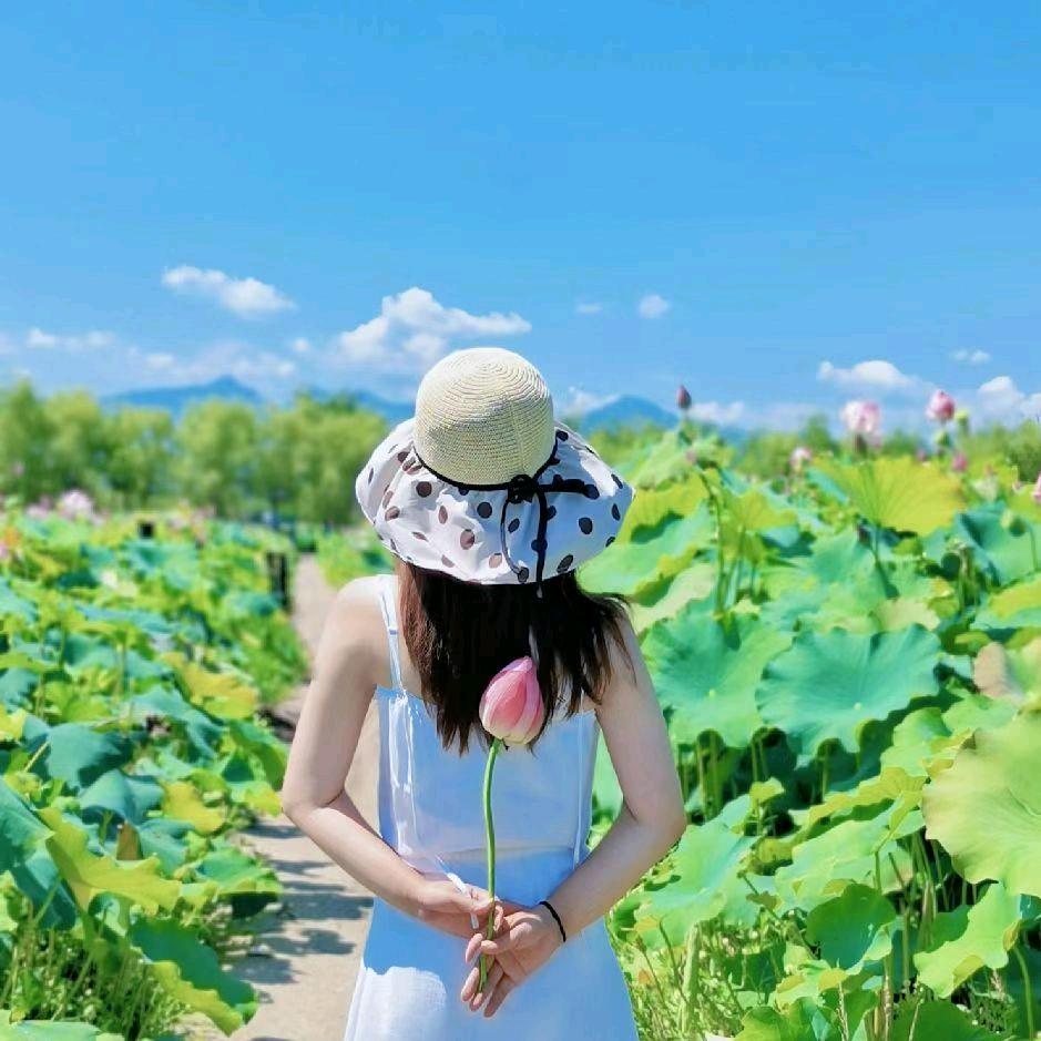 千城影视