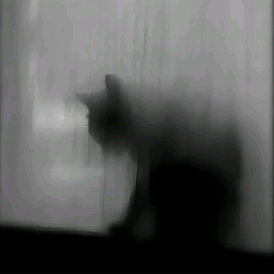 k̵i̵m̵