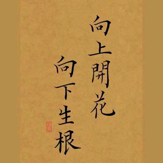 愿圆缘