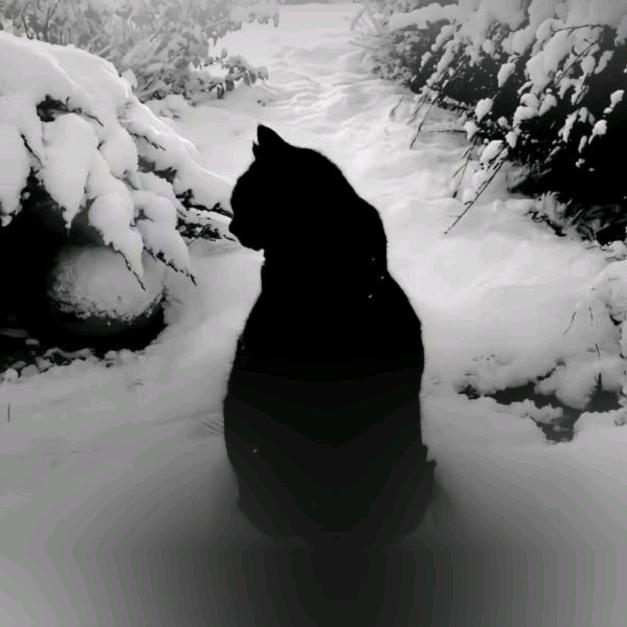 癫公