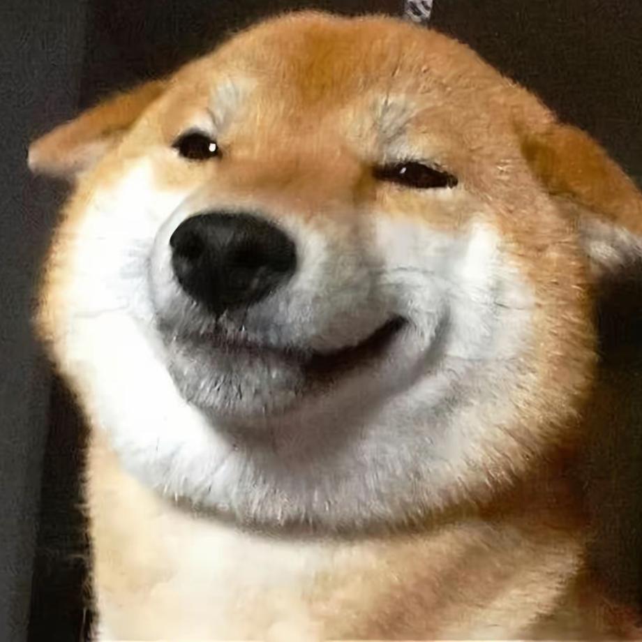 柳生烟