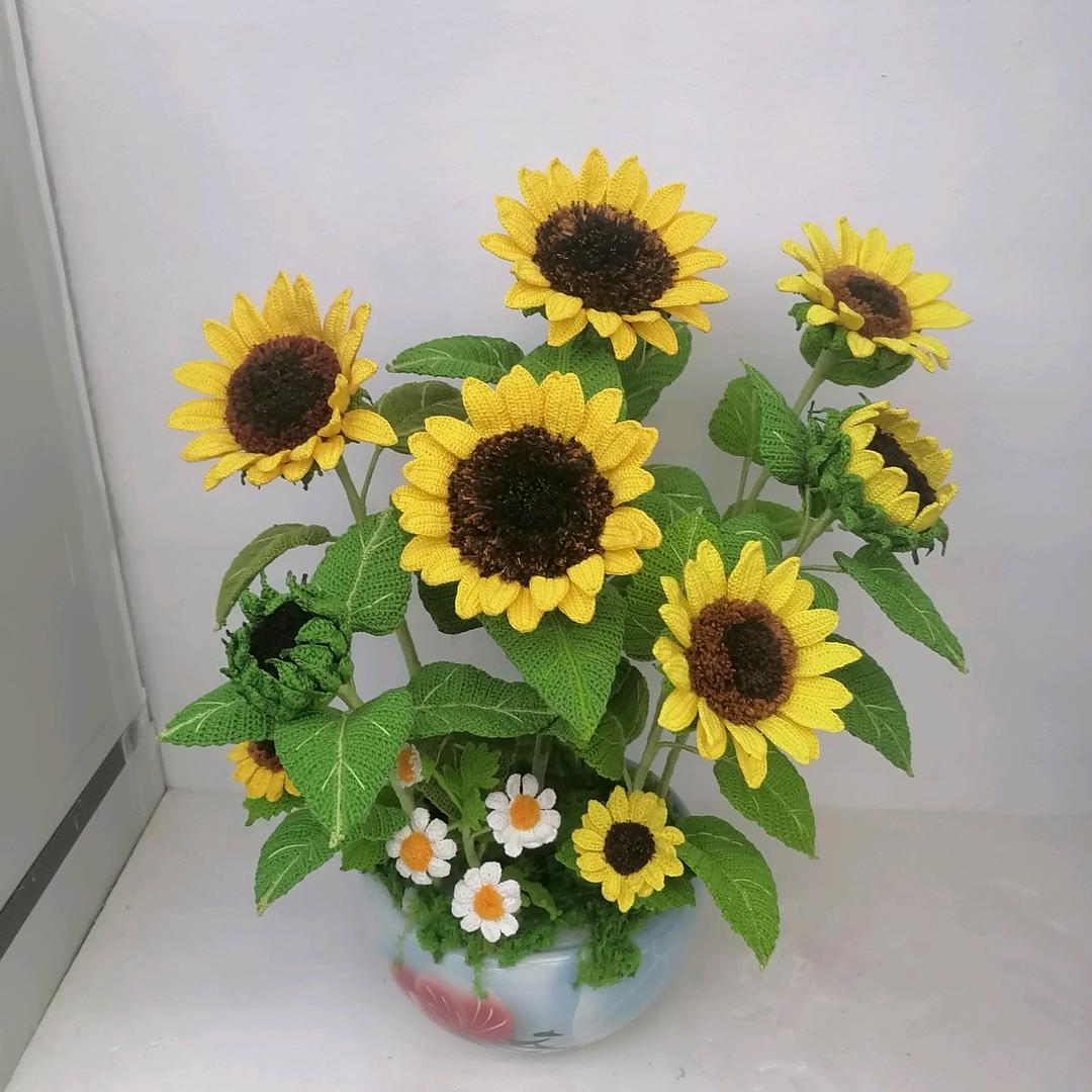 向日葵🌻约定
