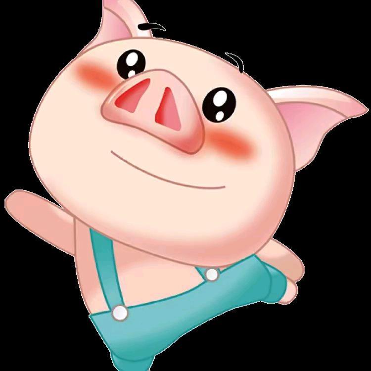 可爱小猪猪