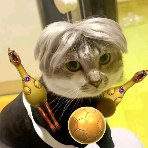 cf手游赏金令代打