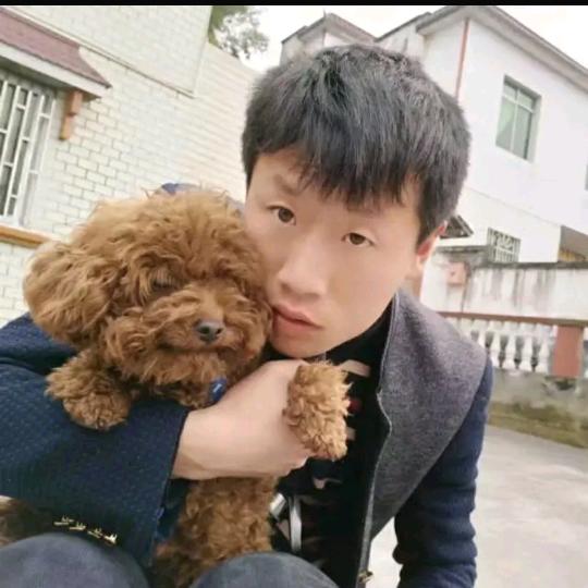 爱自由