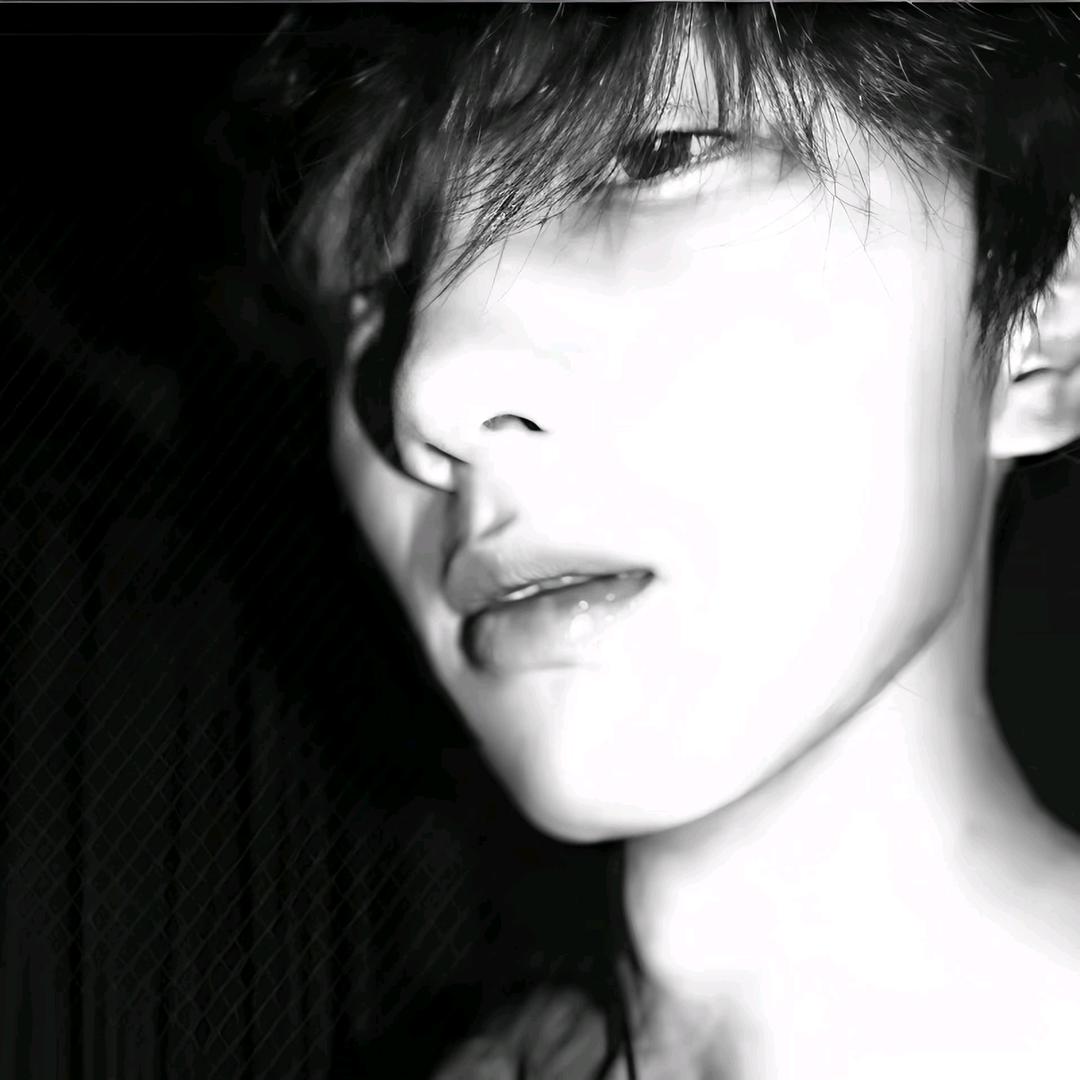 无敌的小言🕷️