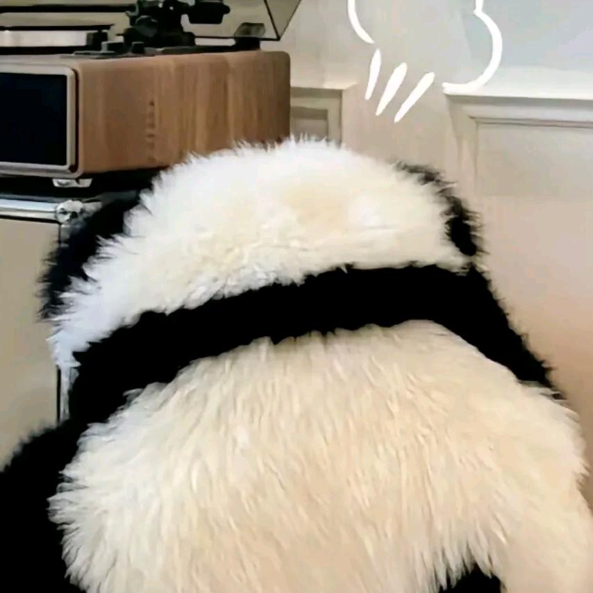 ʕ ᵔᴥᵔ ʔ。