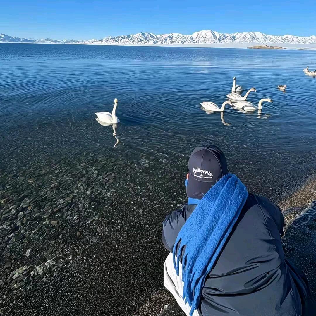 又是一年冬🌨️