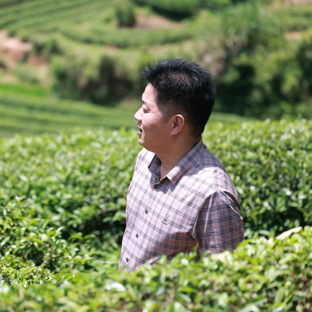 🍵茶百道中简--老沈