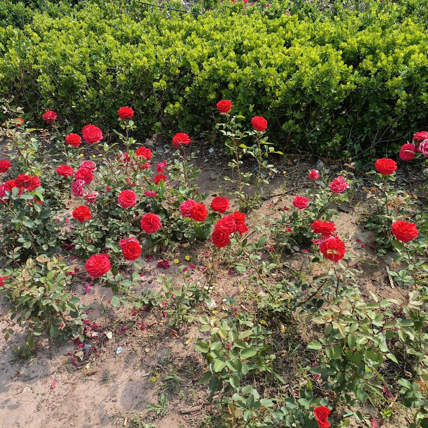 生命只有一次，一定要好好珍惜